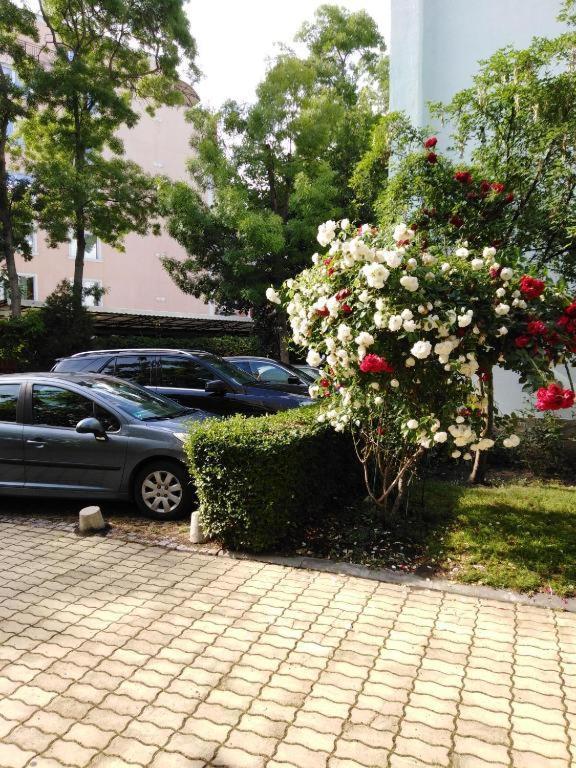 Guest Apartment Dental Space Sunny Beach Exterior foto